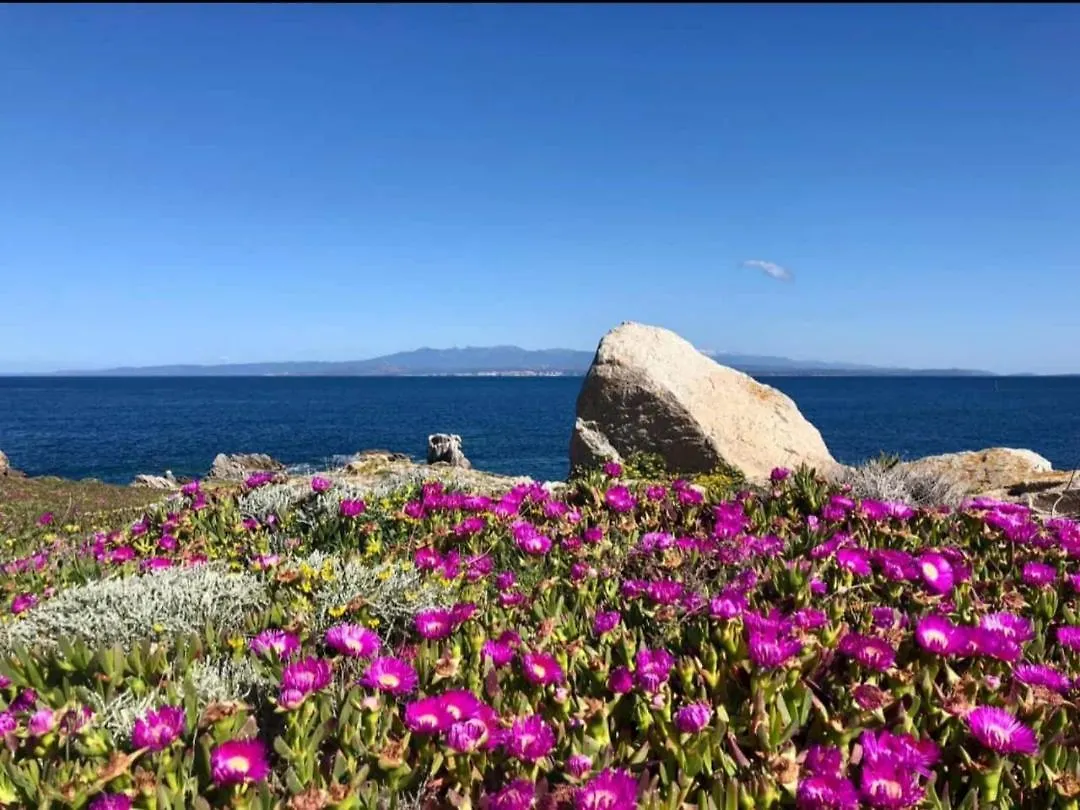 Accogliente Trilocale a Santa Teresa di Gallura Appartamento